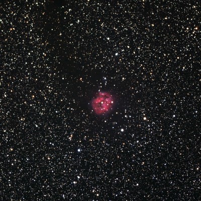 IC5146-ps.jpg