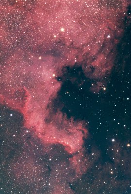 NGC7000_TOA130 F754mm_ASI2600MC à -10°C_76x2mn_2h32mn_26-09-2023_PS_red1200.jpg