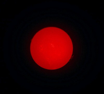 sun-2024-03-24-forum.jpg