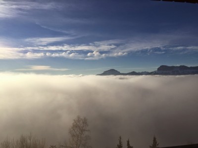 2015-02-16 16.54.25.jpg