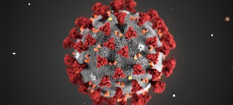 corona virus.jpg