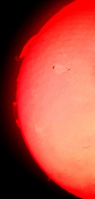 20220623_103610_rec_1280.jpg